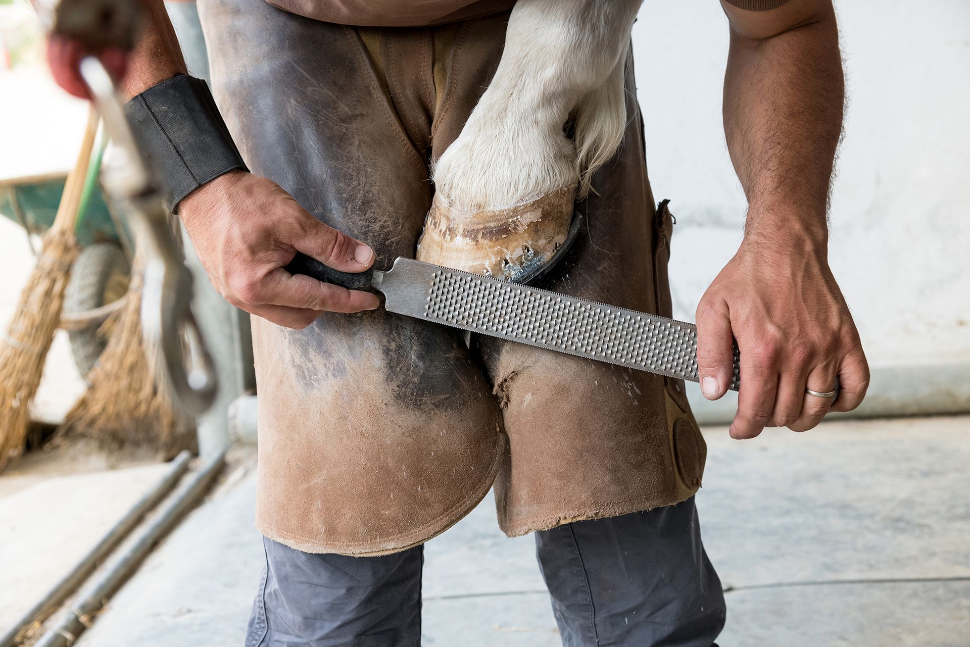Hoof Trimming Ada