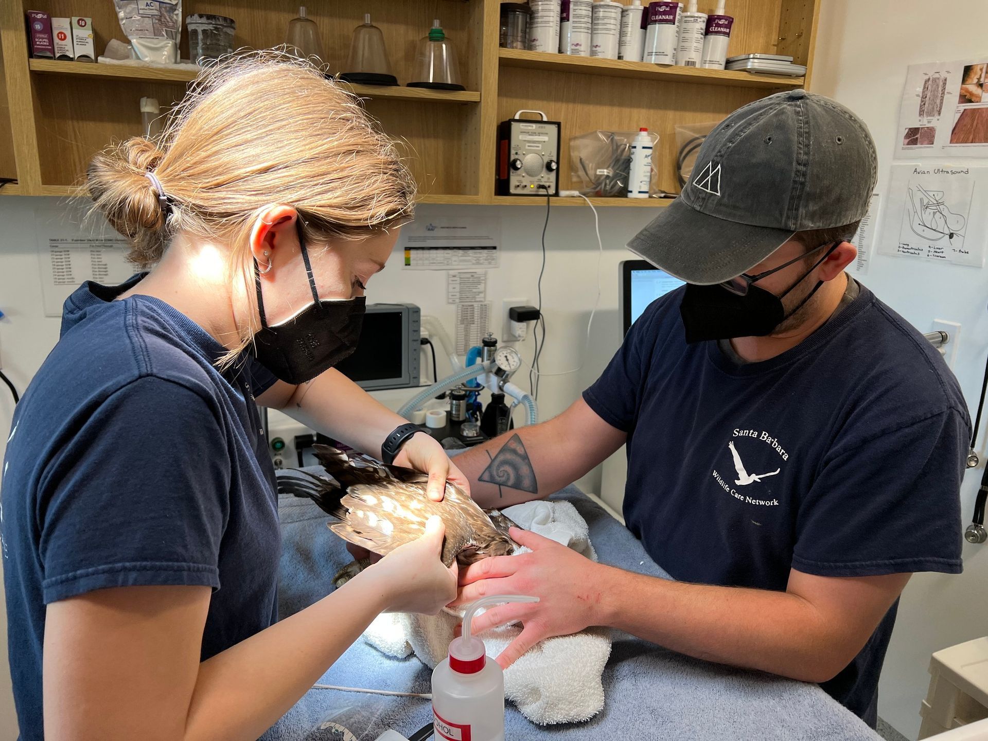 A man and a woman are working on a bird.