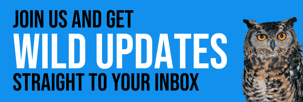 Blue banner reading “Join us and get wild updates straight to your inbox” with an owl on the right