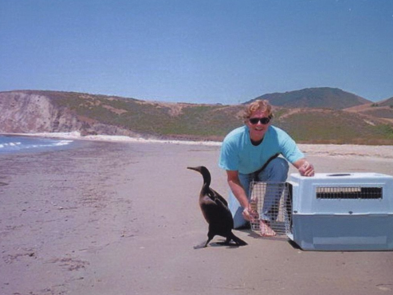 A man kneeling next to a bird on the beach