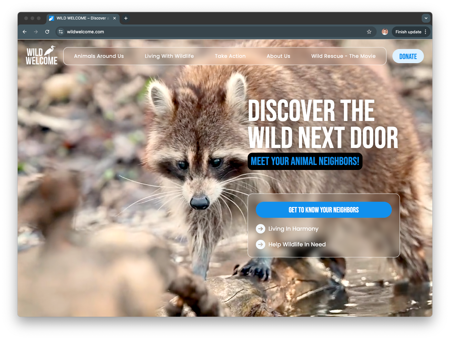 A raccoon is on the homepage of a website.