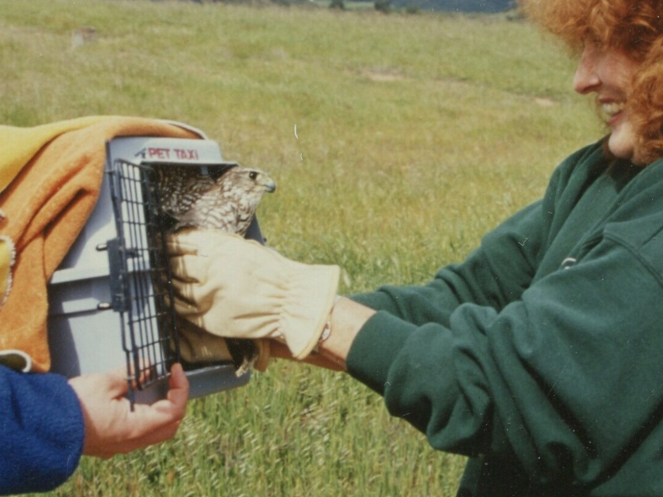 A person holding a bird in a cage that says first taxi