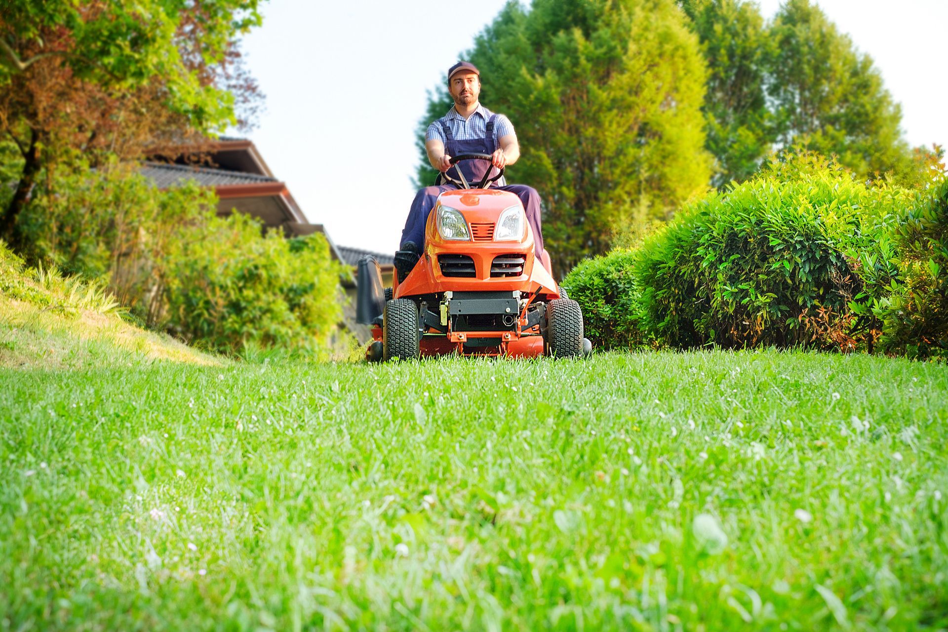 A man is riding a lawn mower on a lush green lawn.