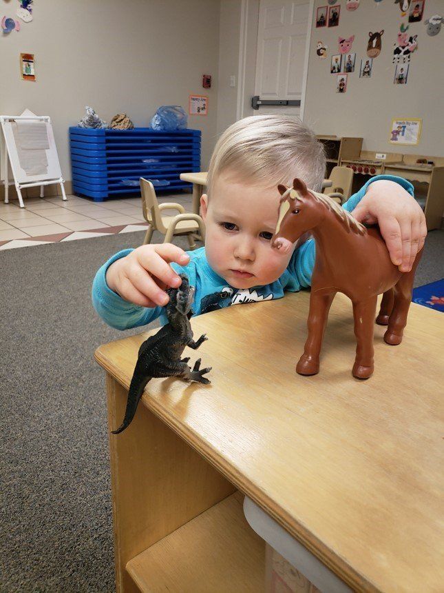 Toddler playing with toy animals at a table in a classroom play area Toddler playing with toy animals at a table in a classroom play area