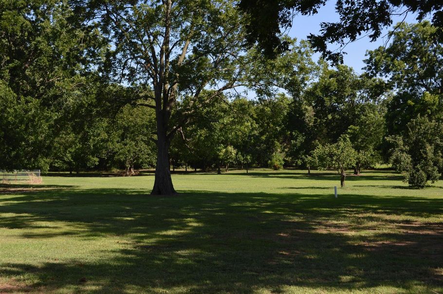 Sunny park with large trees, green grass, and a few people in the distance