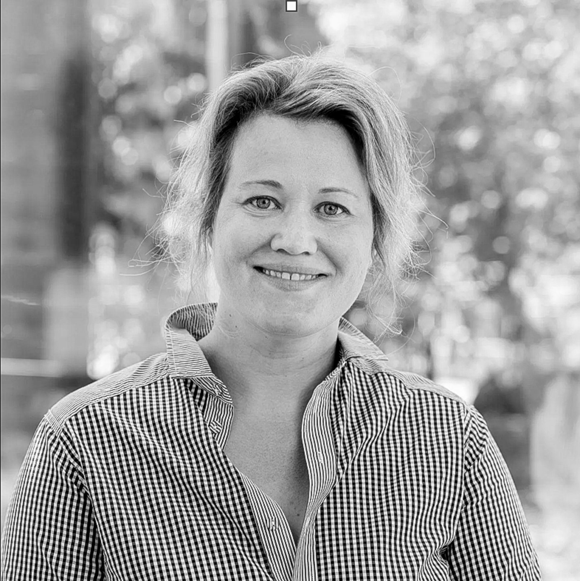 Anne Haber