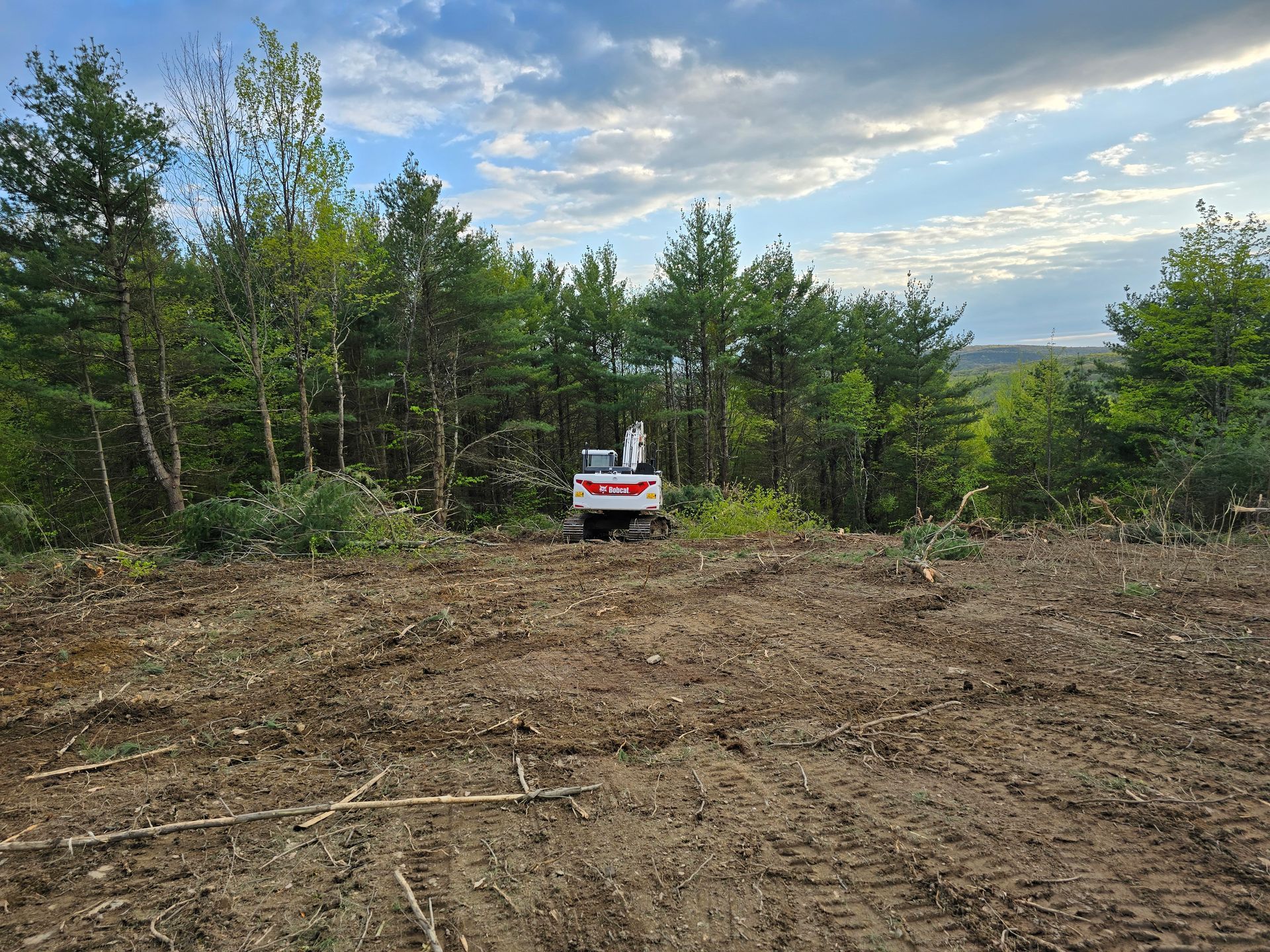 A small bulldozer clearing a forest area; trees and cloudy sky in the background.