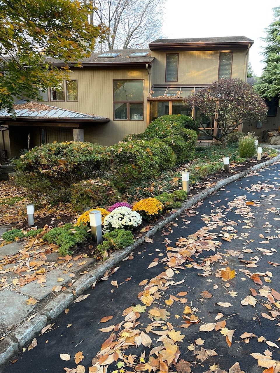 A house with a lot of leaves on the ground in front of it