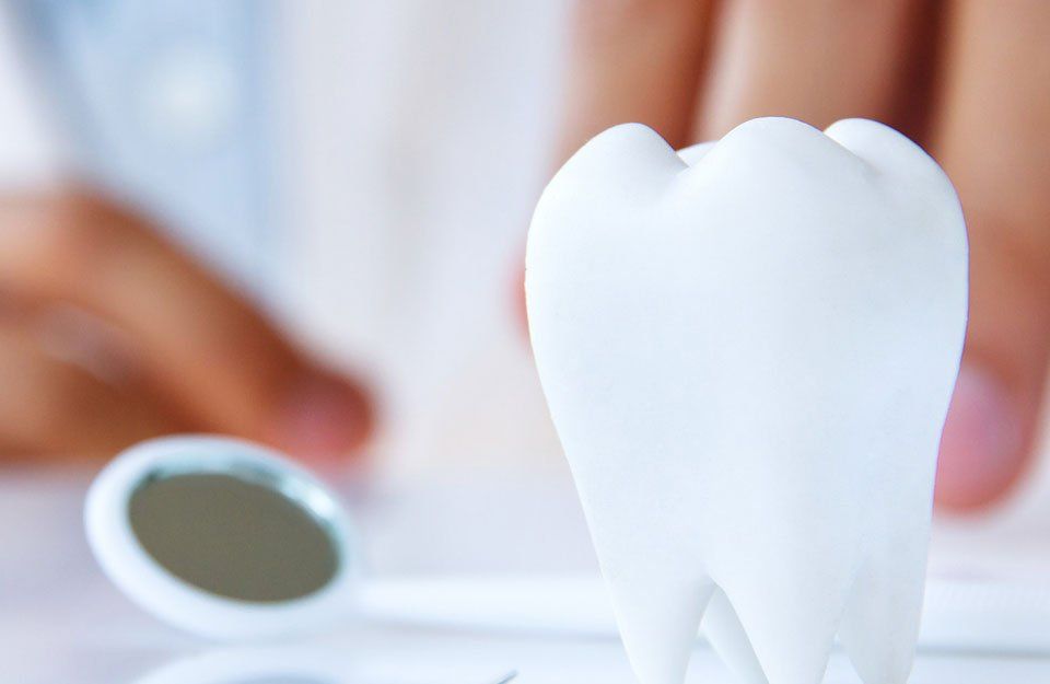 Tooth model with dental mirror and hand in background.