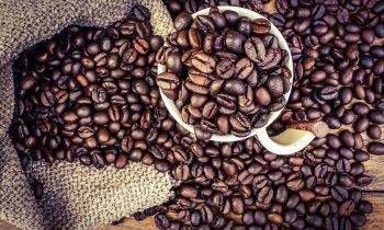 Colombian Bean (6 Packs X 5 Lbs X 3m)