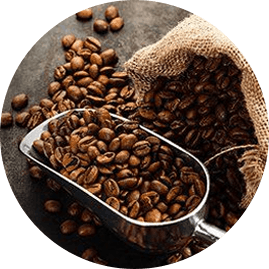 Coffee Beans on Scoop Coffee Beans on Scoop