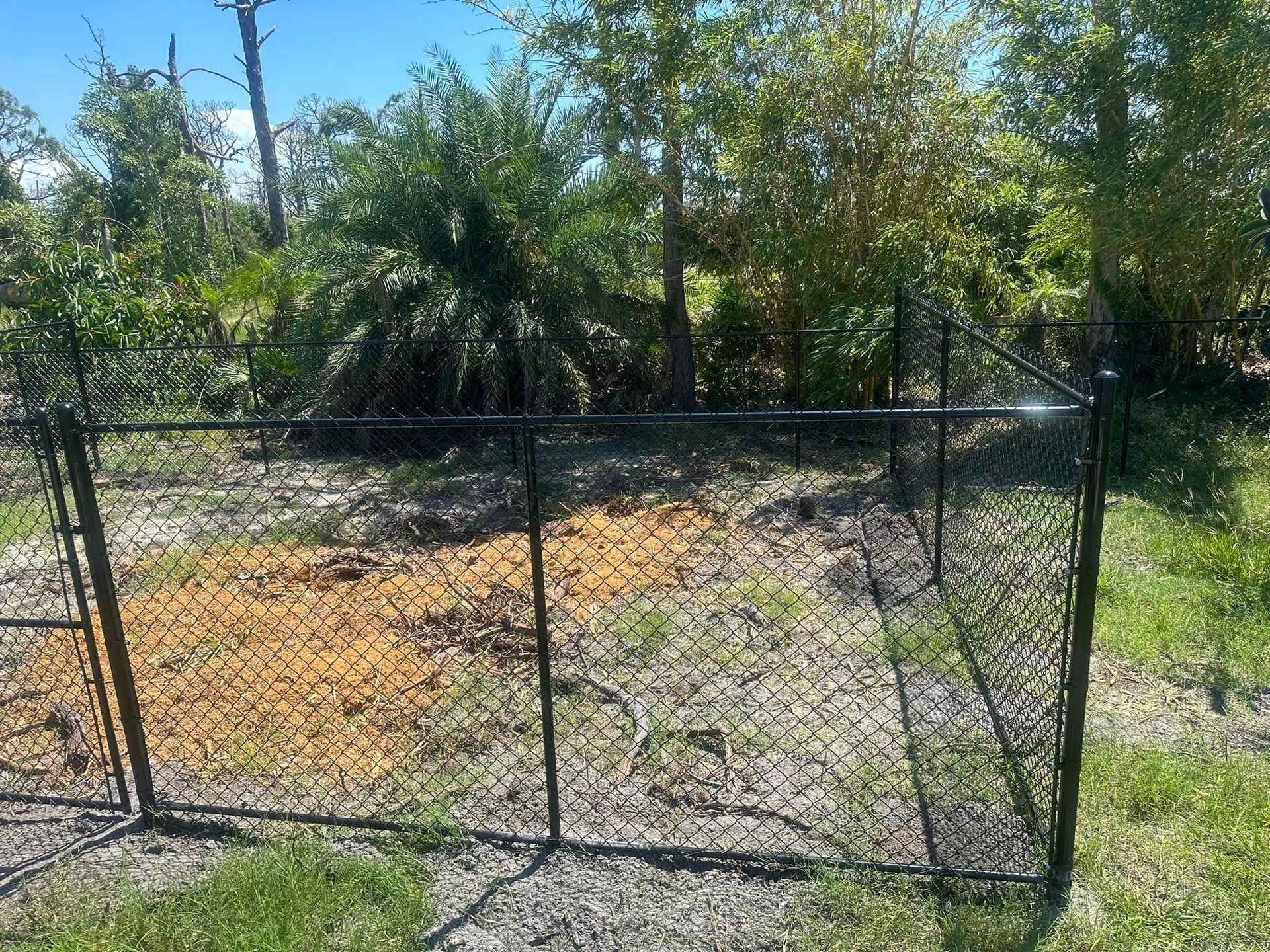 Black chain-link fence encloses a small area of tan debris, with trees and foliage in the background.