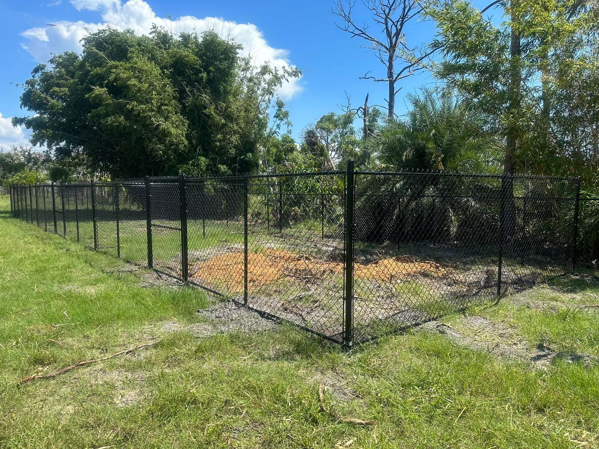 Black chain-link fence surrounding a grassy area and natural vegetation under a blue sky.