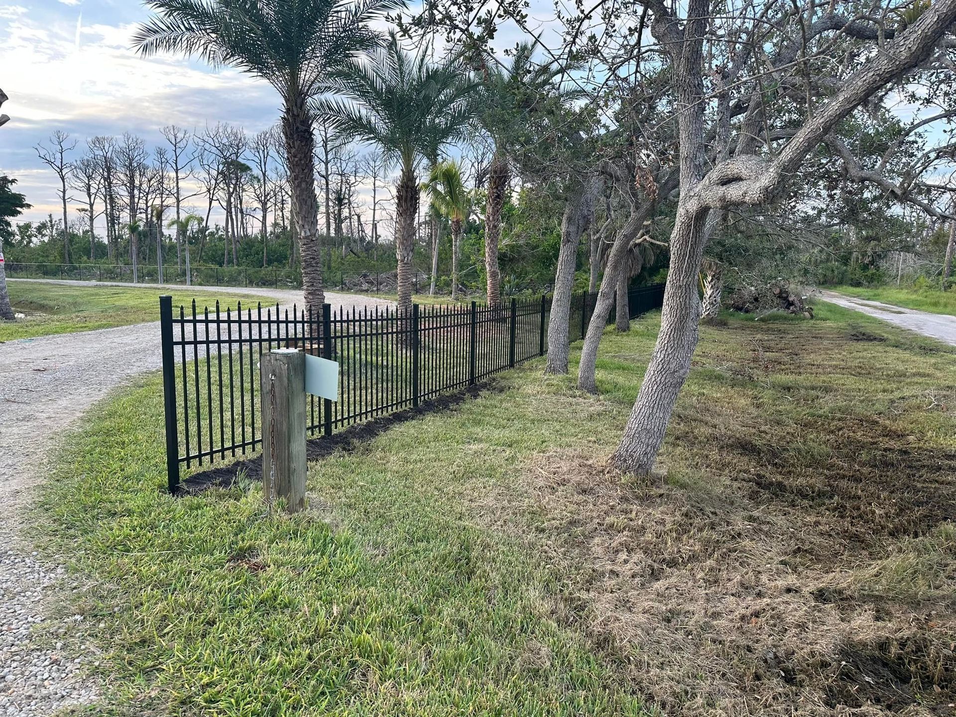 Black metal fence along a grassy driveway. Palm trees and a dirt road in the background.