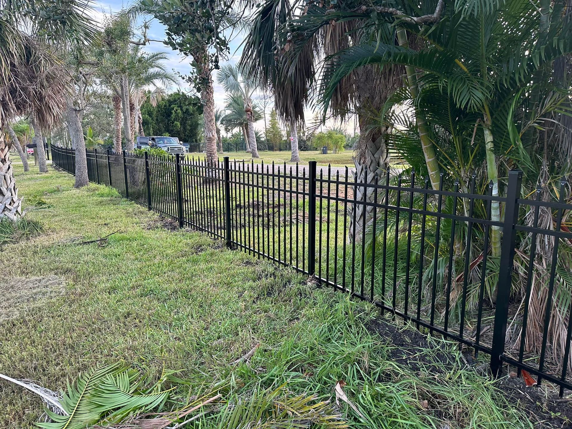 Black metal fence along a grassy area with palm trees in the background.