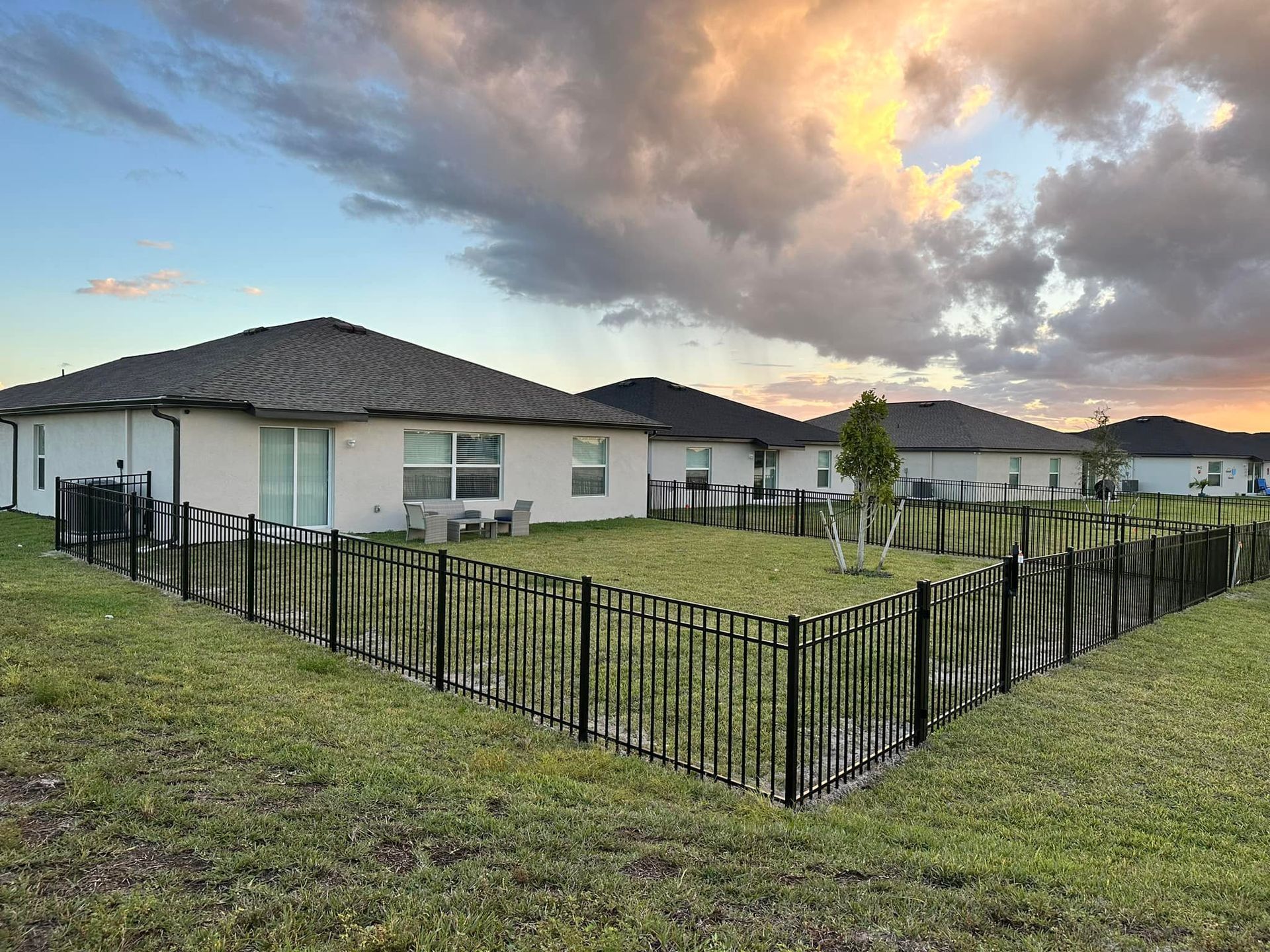 Backyards of houses with black fences, green grass, and a sunset sky.
