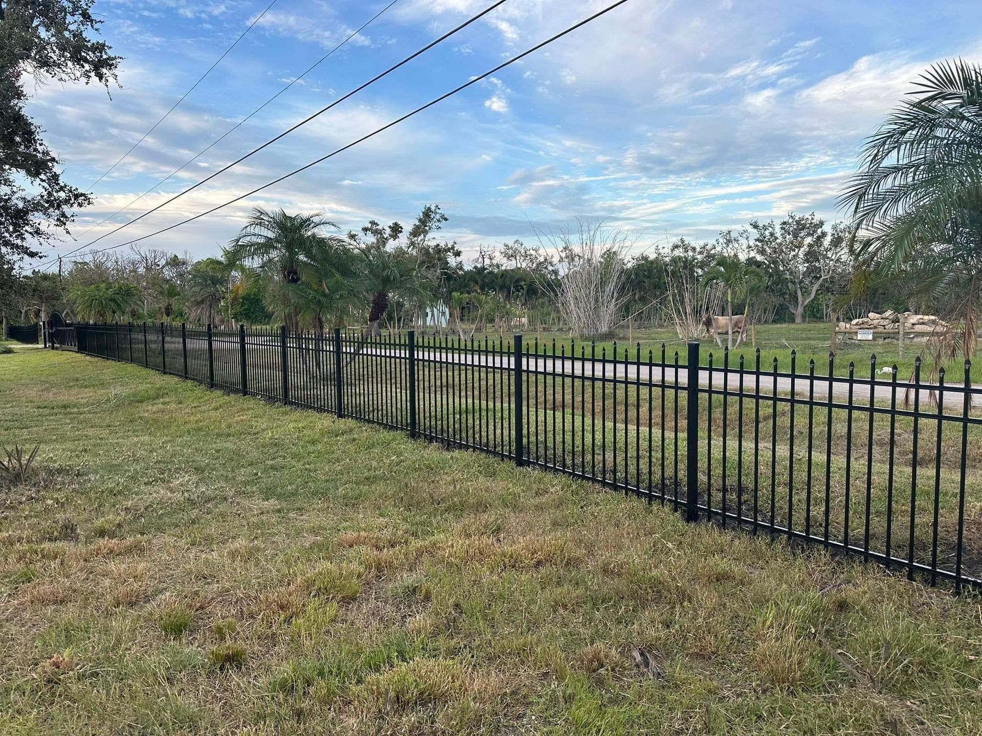 Black metal fence bordering a grassy field, trees and a cloudy sky in the background.