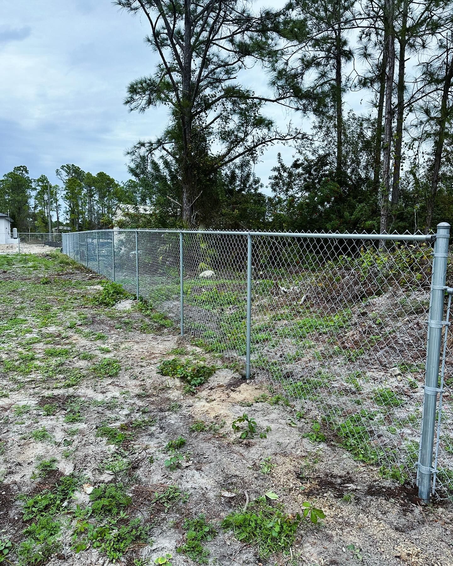 Chain-link fence in a yard with dirt, some grass, and trees in the background.