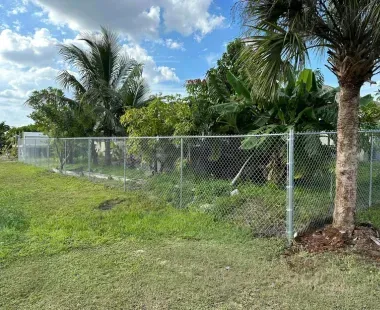 A chain link fence surrounds a grassy field with palm trees.