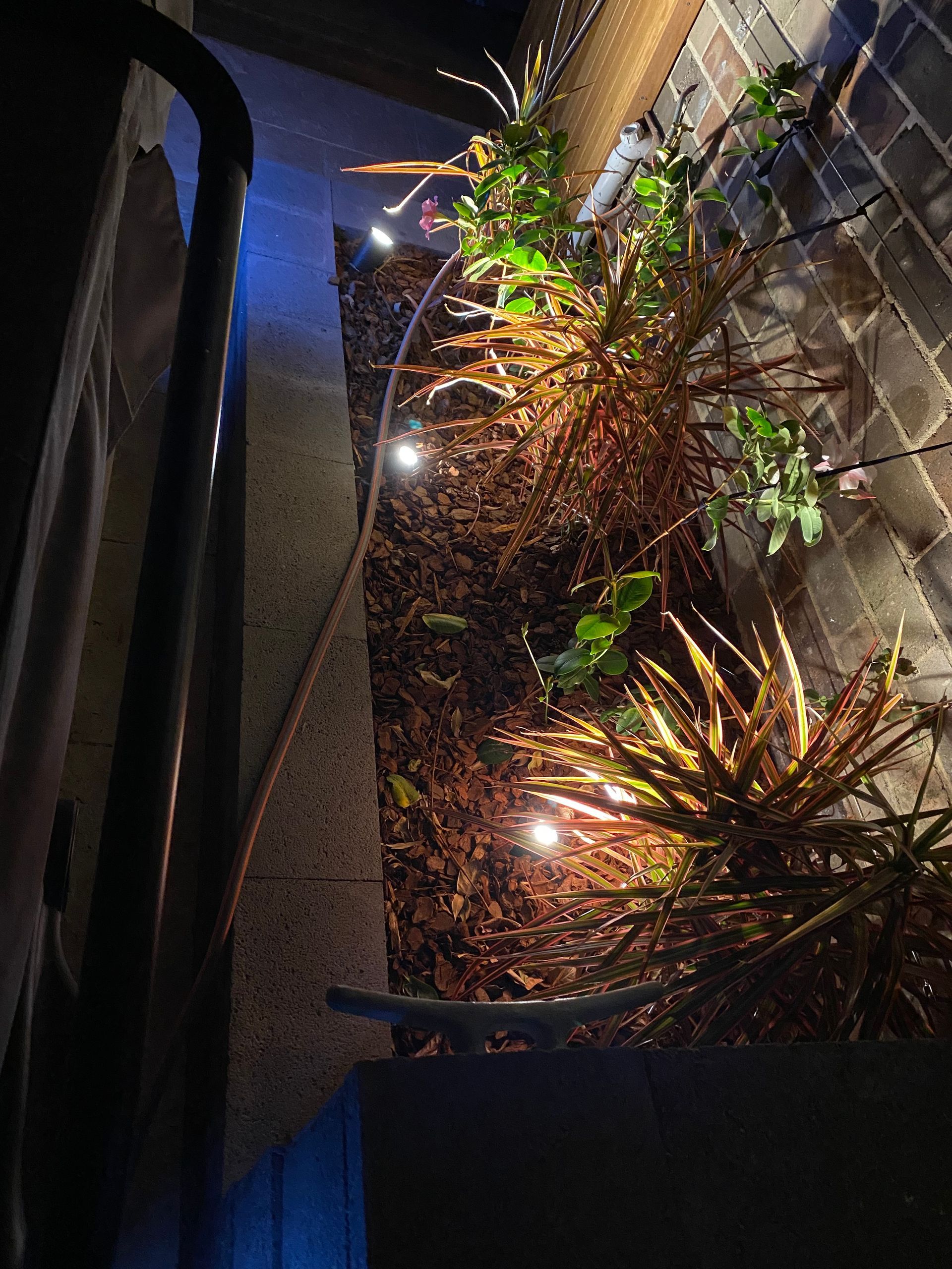 A garden bed with illuminated plants — Channel Electrical In Swansea Heads, NSW