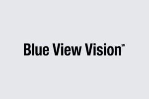 Blue View Vision logo on a light gray background