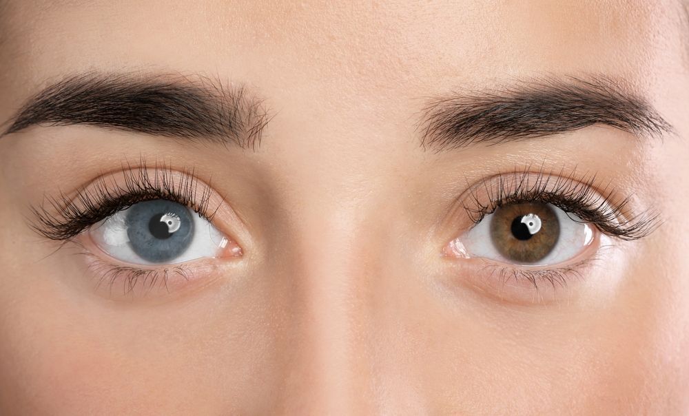 Blue and white contact lens cases and lenses on a light background, with tweezers nearby