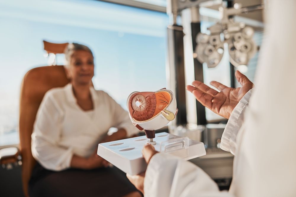 Doctor showing an eye model to a seated patient in a clinic