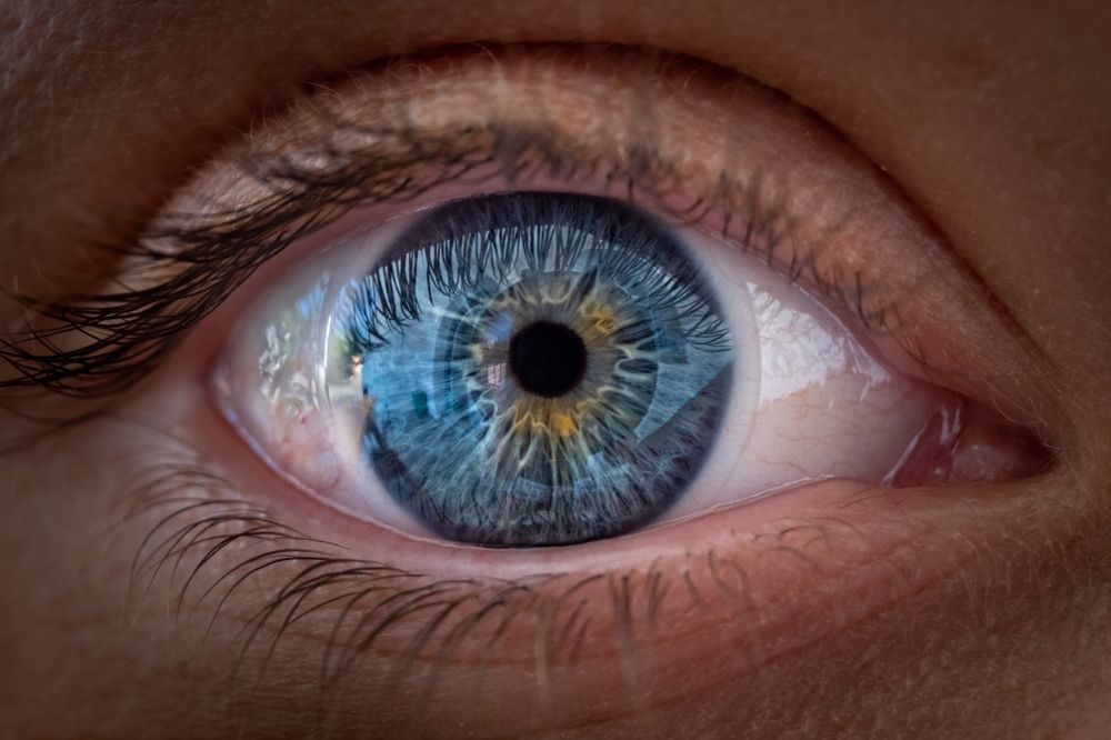 Close-up of a blue eye with a detailed iris and visible eyelashes