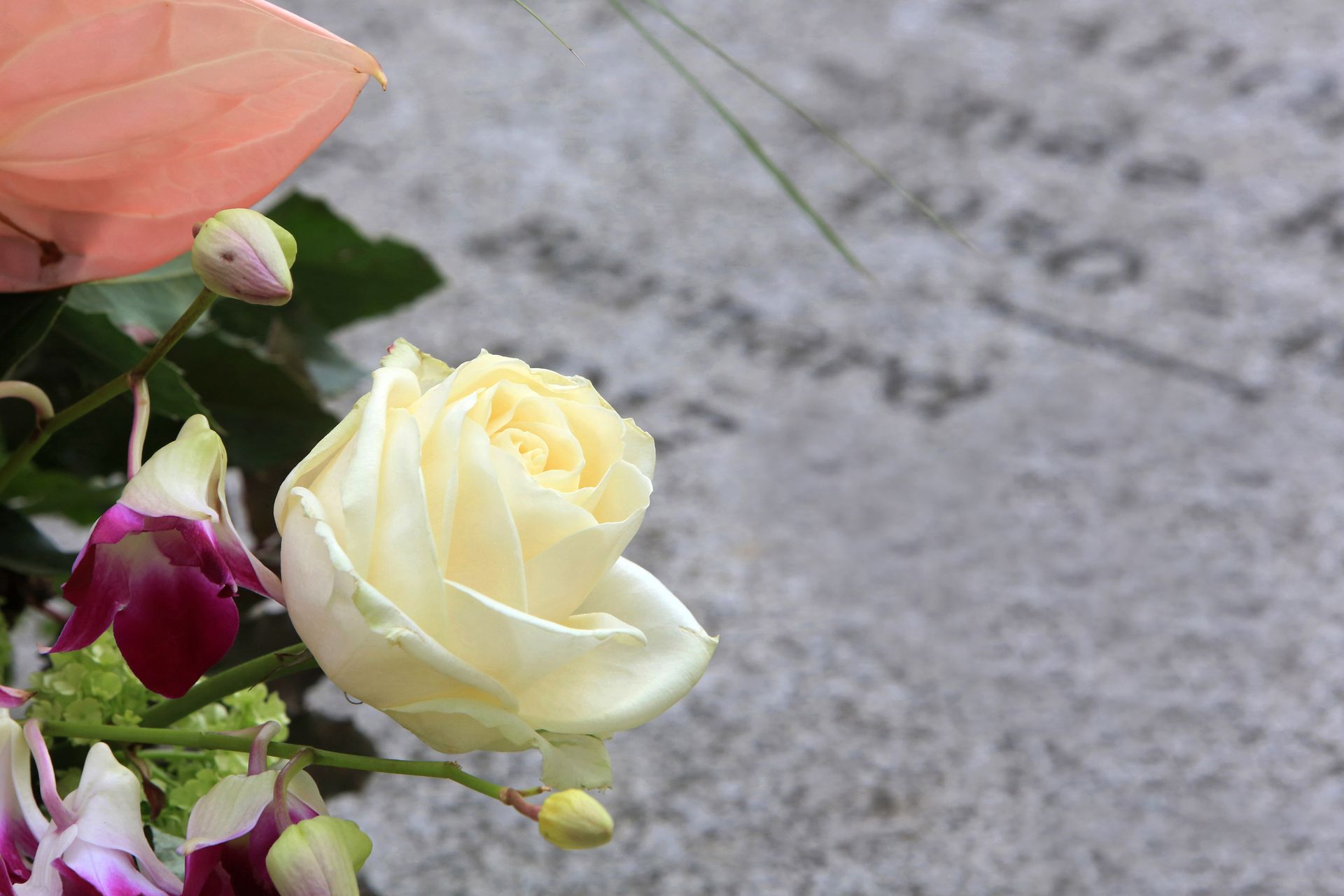 White rose and other flowers next to a gravestone.