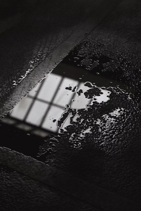 Puddle reflecting a window's grid pattern on a dark, wet surface.