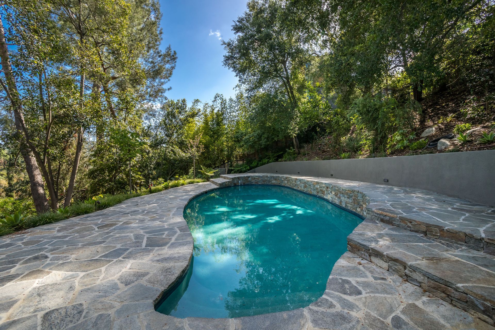 Lechner House pool view