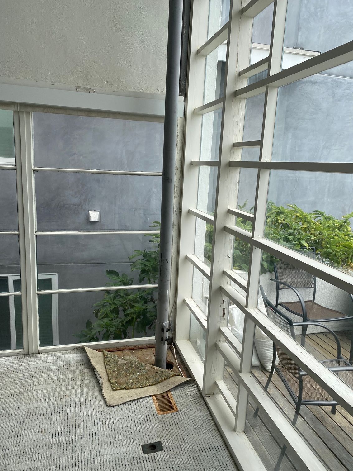 windows at Lovell Beach house