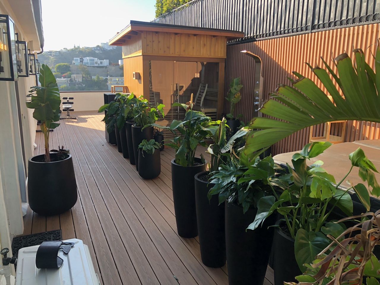 Hollywood Hills outdoor deck with plants