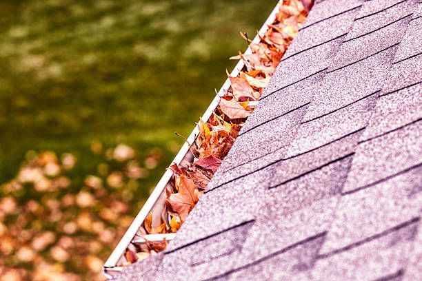 Gutter cleaning