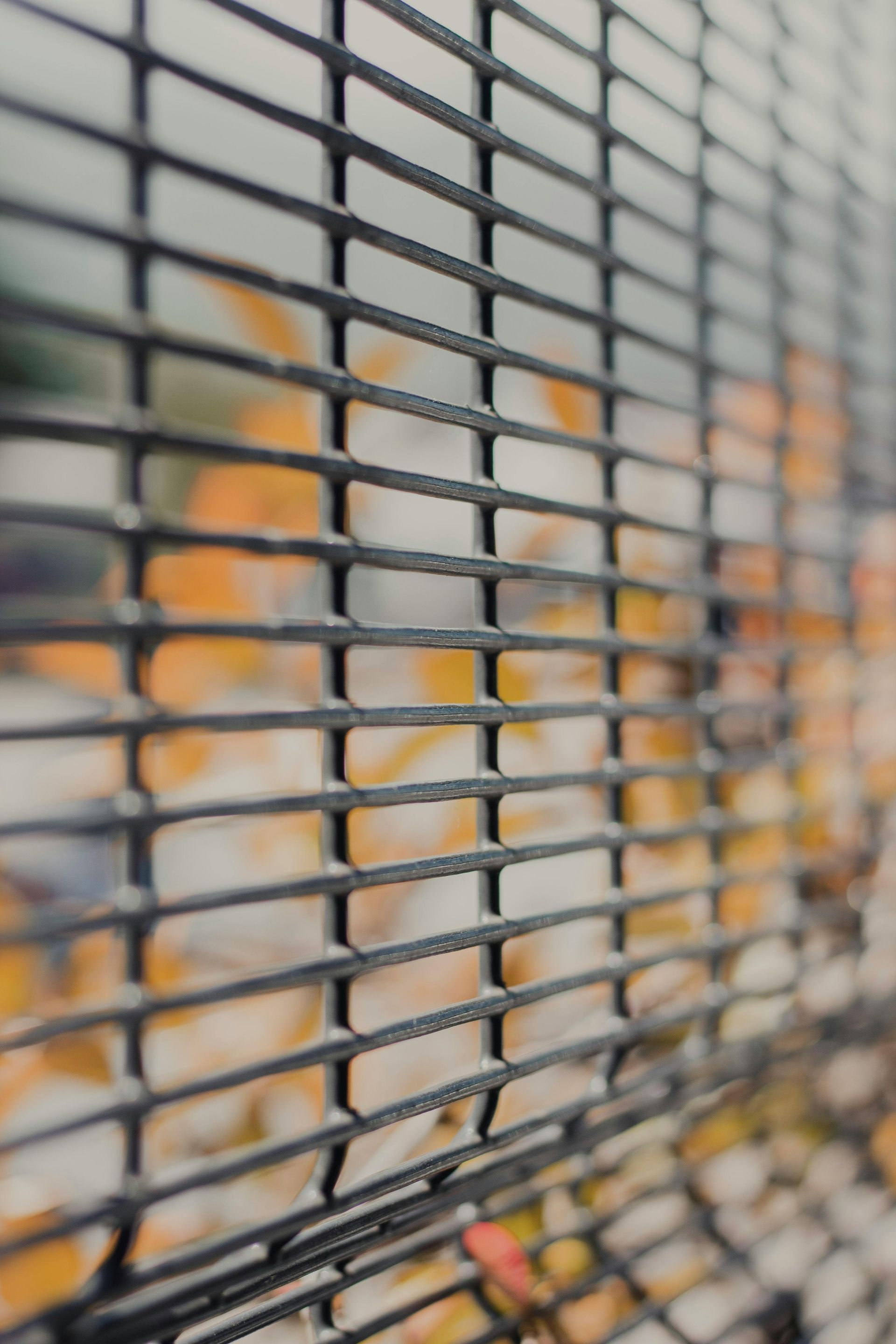 Black wire fence with blurry orange and white background.