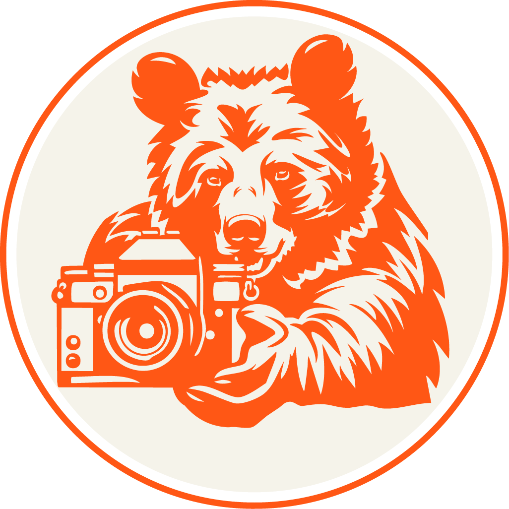 Content Creation Bear Graphic
