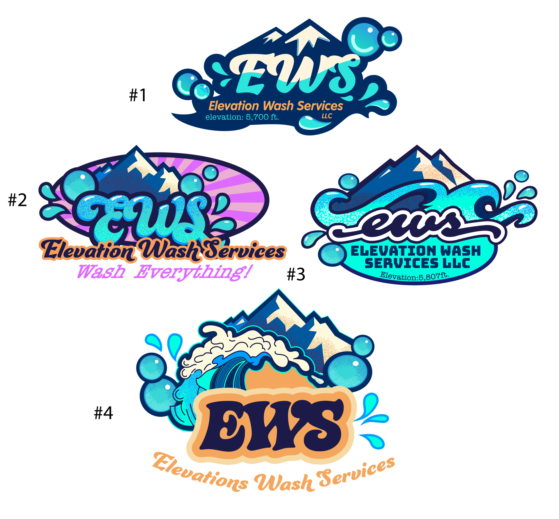 Elevation Wash Services Logo Offering