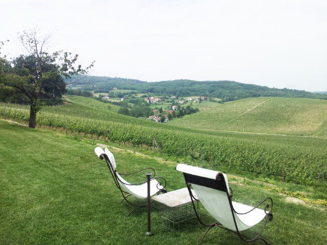 Two white lounge chairs face vineyard-covered hills under a pale sky.