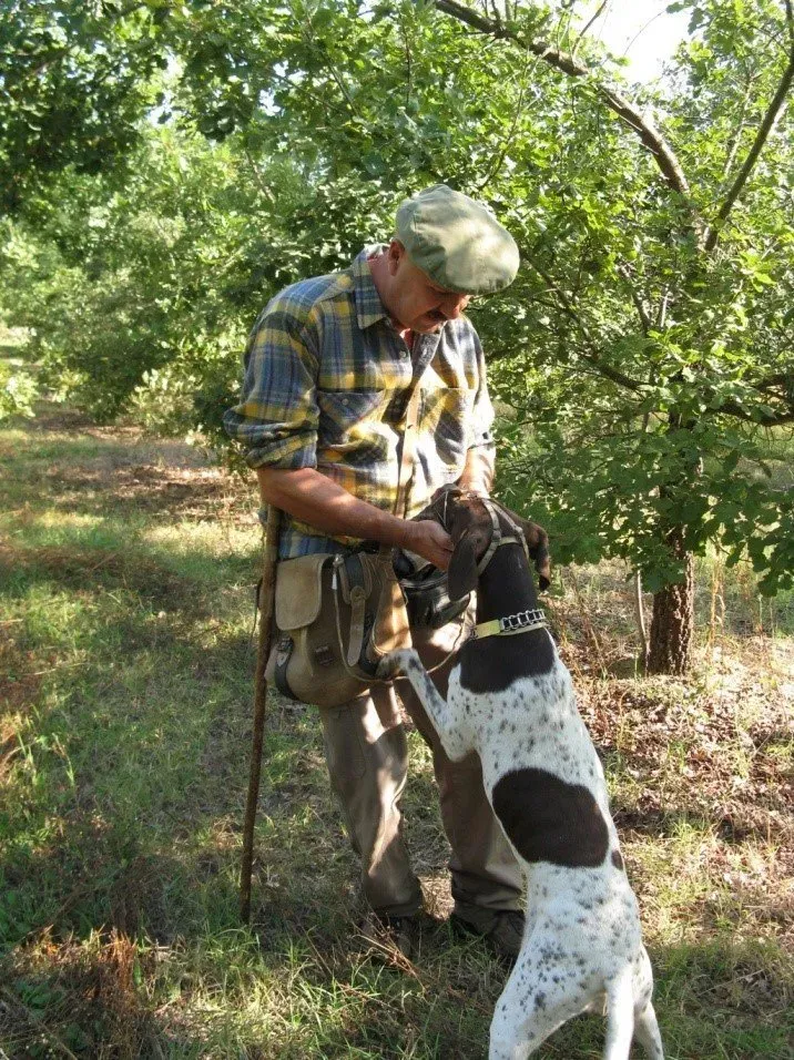 Man in plaid shirt and cap with a hunting dog in a wooded area.