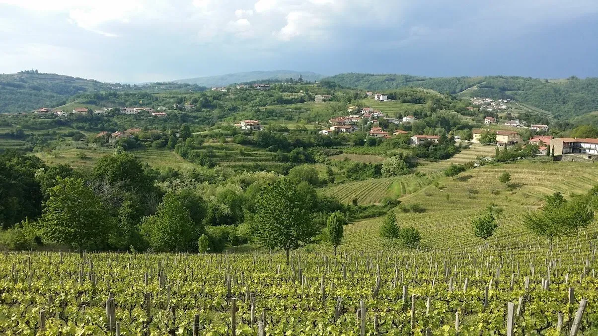 Vineyards and farmhouses on green Italian hills.a cloudy sky in northern Italy.