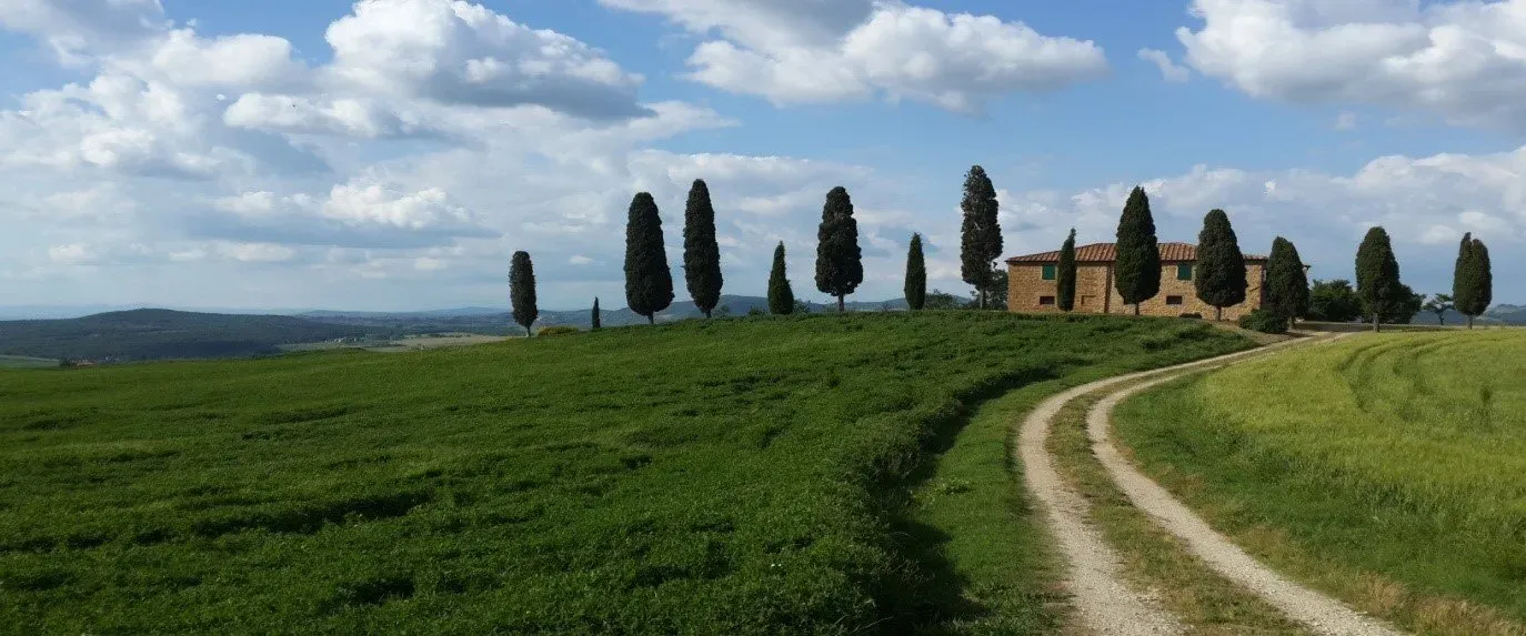 Countryside path lined with cypress trees leading to a rustic house under a partly cloudy sky.
