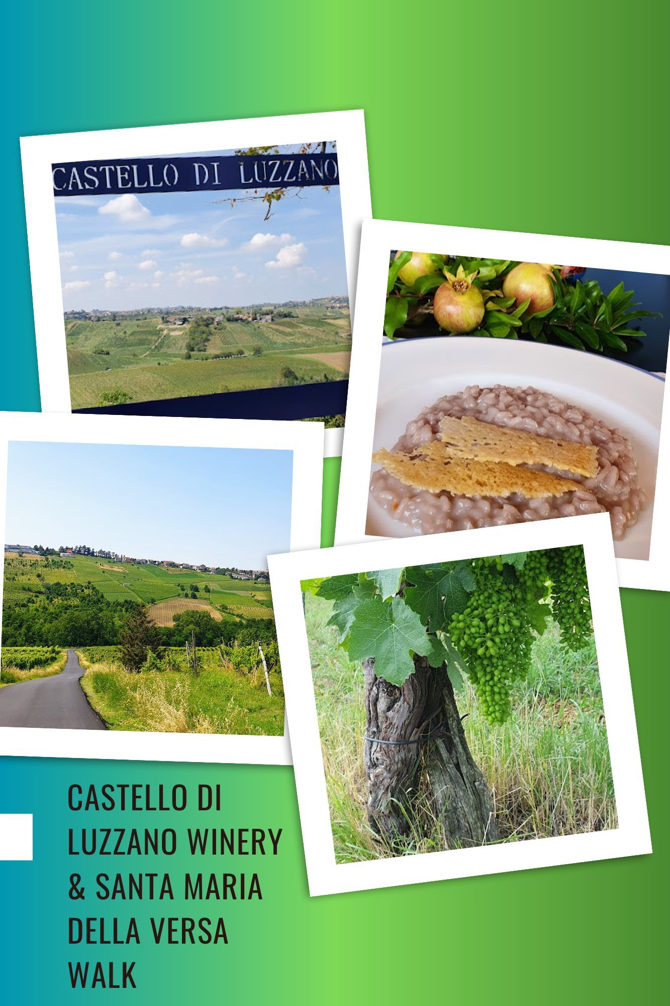 Rolling vineyards, fresh risotto, and a scenic walk through Santa Maria della Versa and Castello di Luzzano.
