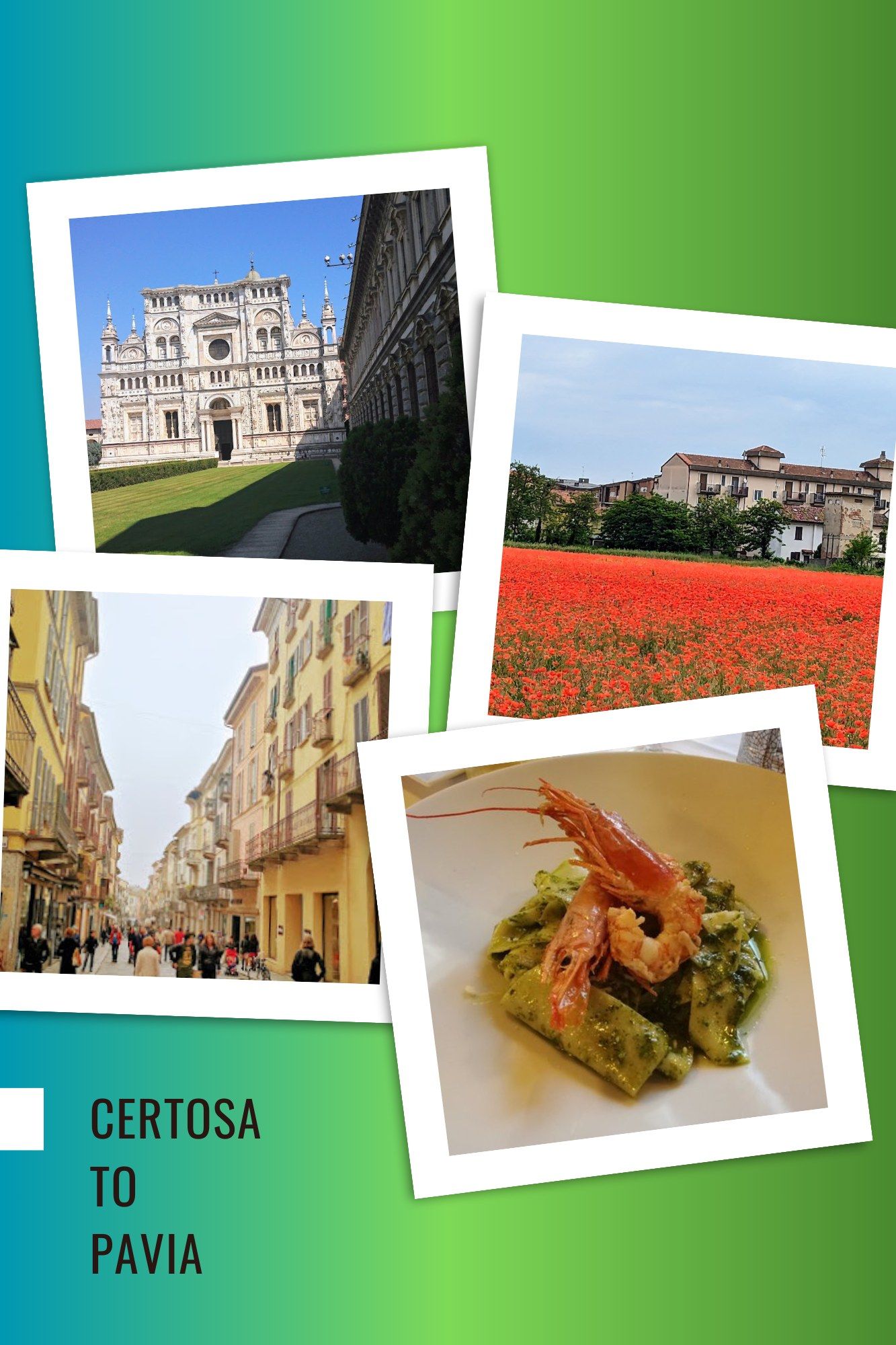 From the grand Certosa monastery to lively Pavia streets and a plate of fresh seafood pasta.