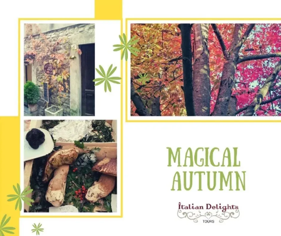 Autumn leaves, stone wall with vines, and a crate of porcini mushrooms and truffle -- MAGICAL AUTUMN.