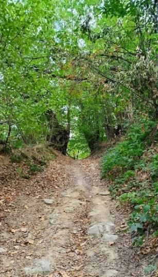 Hill trail on La Via del Sale with valley and mountain views.