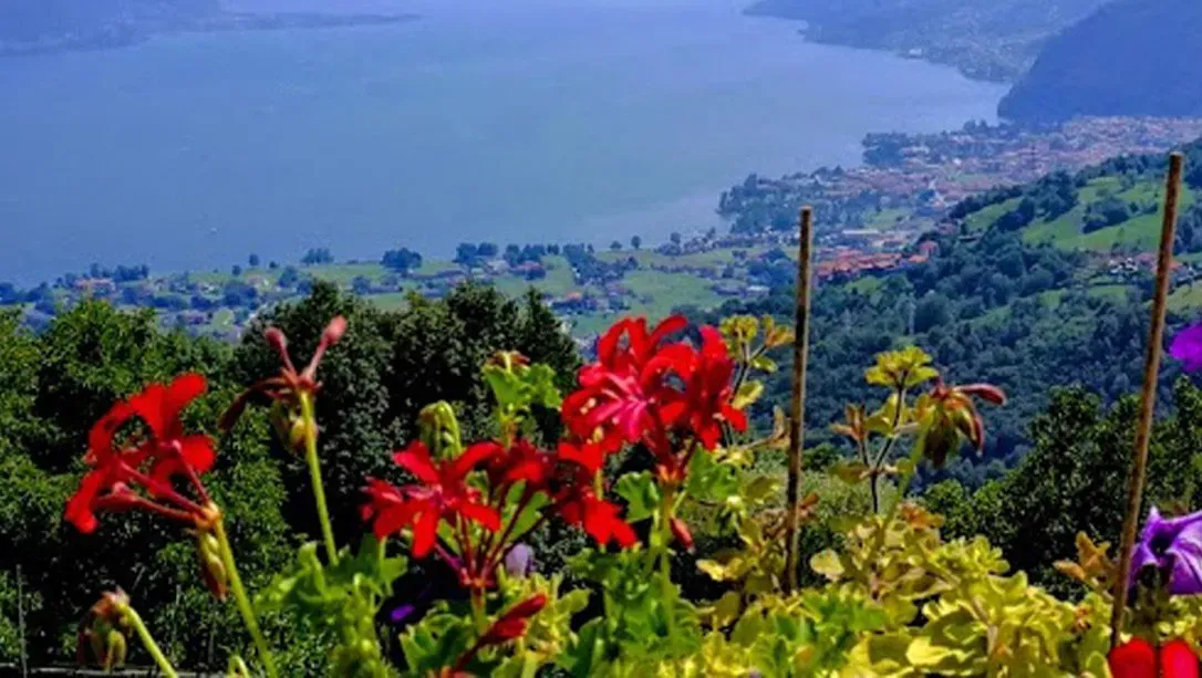 View of a lake and hillside town with colorful flowers in the foreground.