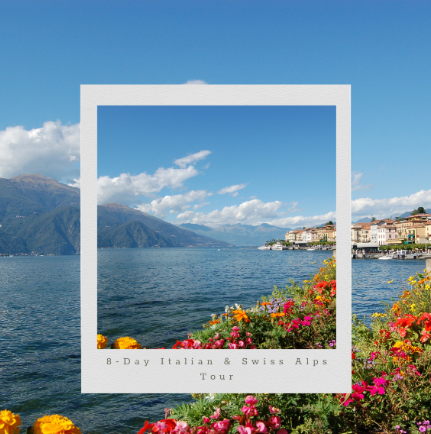 A lake with flowers and mountains in the background