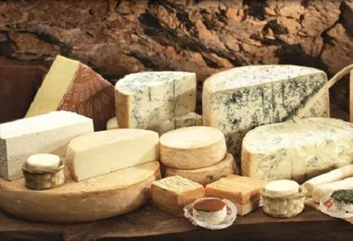 Assorted Italian cheeses on a wooden board, including blue cheese, soft rounds, and firm wedges.