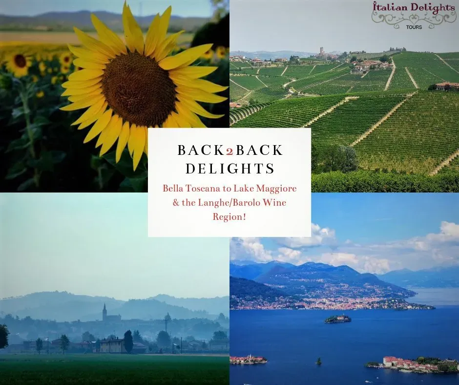 Sunflower, vineyard, Tuscan hills, and Lake Maggiore promoting a tour from Tuscany to the Langhe wine region.