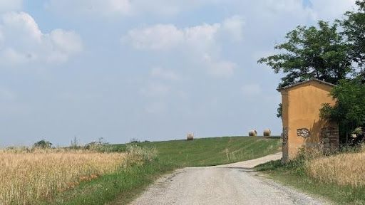 A dirt road leading to a small building in the middle of a field.